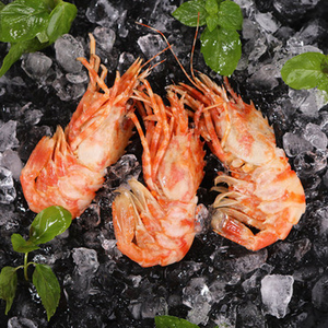 俄罗斯进口格陵兰虾,鲜虾/熟食1kg