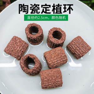 鱼缸水草固定环火山石定植环新手无土养草陶瓷环造景装饰固定底座