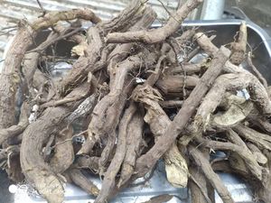 她说忆缠绵008淘宝野生青草药纯天然中药材南天竹根 白天竹 天竹子