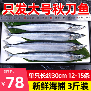 秋刀鱼 鲜 冷冻包邮12条装新鲜鱼海鲜水产深海鱼日式烧烤食材