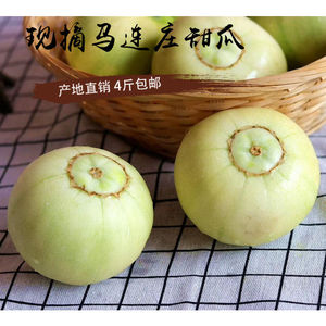 马连庄甜瓜山东青岛新鲜特产水果老式品种脆宝香瓜日本甜宝小甜瓜