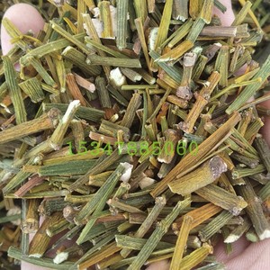 枫香槲寄生 枫树寄生 蟹爪寄生 桐子寄生 食用农产品 晒干货500克