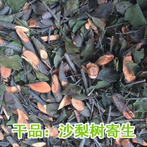 传统滋补品其他野生沙梨树寄生茶沙莉莎梨贡梨金珠果麻安梨中草药