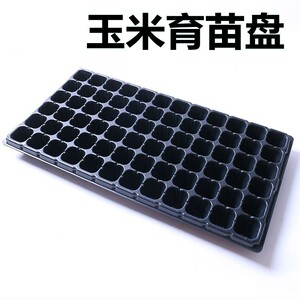 玉米育苗盘育苗盆穴盘塑料杯多肉种植营养钵蔬菜育种扦插营养杯耐
