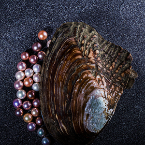 珍珠蚌开蚌直播-淘宝拼多多热销珍珠蚌开蚌直播货源拿