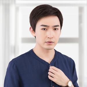 假发套头套整顶假发全真男短发男士式男生韩版帅气真人头发短直发