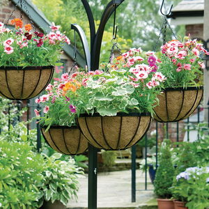 铁艺大号30厘米盆悬挂花篮椰棕吊篮绿萝吊兰矮牛买一送一庭院阳台