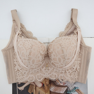 六月玫瑰文胸正品二代氧塑丰姿聚拢收副乳调整型五排扣内衣胸罩bc