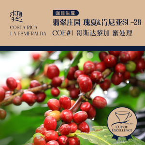哥斯达黎加翡翠庄园瑰夏2021年竞标批次coe#1甄选精品咖啡生豆