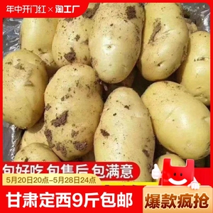 甘肃定西土豆9斤包邮2024黄心沙面马铃薯5/9斤整箱农家新鲜现挖