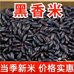 东北香黑米500克大米新货黑糙米五谷杂粮农家优质黑米