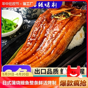 新鲜日式蒲烧鳗鱼500G整条烤鳗鱼饭加热即食鲜活鳗鱼寿司商用批发