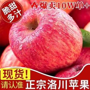 华圣陕西洛川红富士时令苹果当季精品新鲜水果冰糖心脆甜产地直发