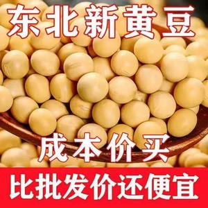 新豆东北黑龙江黄豆农家自产五谷杂粮豆浆豆芽非转基因黄豆新货