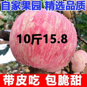 陕西洛川苹果水果新鲜当季红富士冰糖心丑苹果整箱10斤包邮脆甜