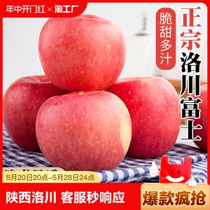 华圣陕西洛川红富士苹果水果新鲜当季整箱脆甜官方旗舰店产地直发