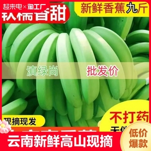 云南新鲜高山青香蕉现摘现发大香蕉热带水果自然熟banana芭蕉产地