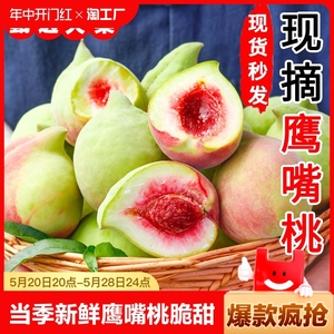 当季新鲜鹰嘴桃脆甜9斤时令高端水果整箱应季罕见的毛桃子水蜜桃