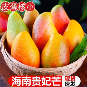 海南贵妃芒果10斤新鲜水果整箱应当季热带红金龙包邮非台农2大果