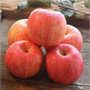 【精选富士】山西脆甜红富士苹果新鲜水果丑苹果整箱批发10斤包邮