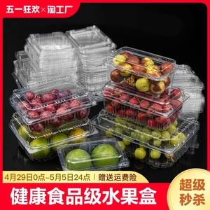 食品盒果蔬盒水果包装盒一次性盒子透明塑料食品级打包盒长方形