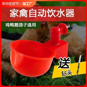 养鸡用自动饮水器鸡鸭鹅饮水碗鸽子鹌鹑家禽养殖专用鸟小鸡喂水碗