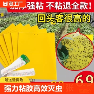 黄板双面粘虫板贴纸强力灭杀小飞虫沾果蝇诱捕神器捉蚊子苍蝇诱虫