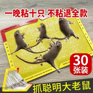 粘鼠板强力粘鼠标超强老鼠贴新款家用强力胶抓杀大老鼠老鼠板灭鼠