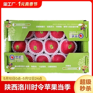 华圣陕西洛川红富士时令苹果当季新鲜水果儿童q果12枚礼盒装一级