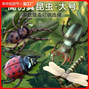 蜘蛛创意道具的昆虫模型儿童蚂蚁蜜蜂甲虫蚂蚱蜢动物玩具蝎子瓢虫