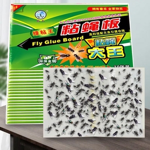 苍蝇贴强力粘蝇纸粘蝇板蚊子一扫光家用灭蝇子捕捉器克星饭店自带