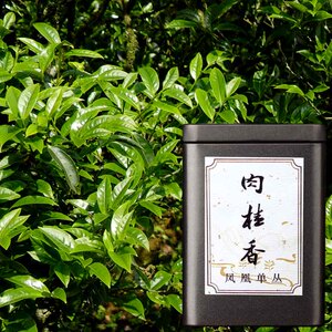 【肉桂香】凤凰单枞茶叶广东潮州乌岽乌崇风凰单丛单从乌冬100克