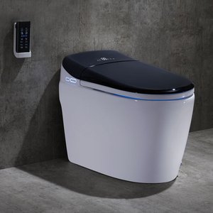 【德朗斯汀智能马桶】德朗斯汀智能马桶品牌,价格 - 阿里巴巴