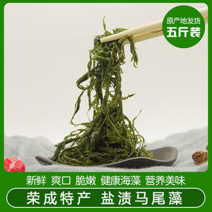 海白菜新鲜野生