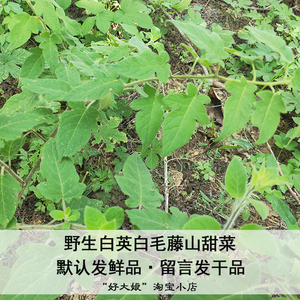 野生白毛藤 白英 排风藤 中草药500克 新鲜现摘包邮河南农村药材