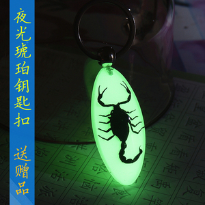 夜光琥珀钥匙扣圈韩国男女高档创意礼物蝎子甲虫螃蟹昆虫标本挂件