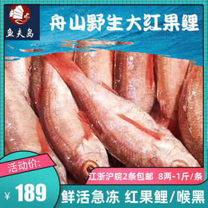 舟山特产大红果鲤新鲜赤鮭鱼喉黑1条海捕冷冻海鲜水产品2条起拍