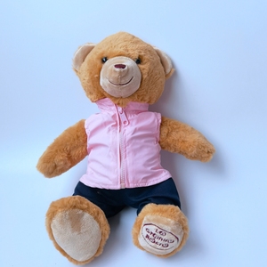 满58元包邮练习穿衣服小熊毛绒玩具生日礼物
