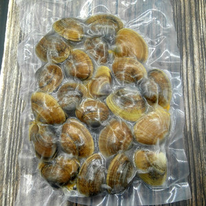 5袋包邮 丹东真空即食大黄蚬子熟 无沙青柳蛤 东港特产海鲜 贝类