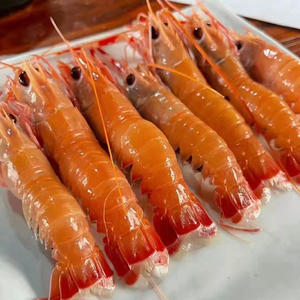 舟山海鳌虾野生螯虾超大深海海熬虾新鲜船冻海鲜水产日料刺身无冰