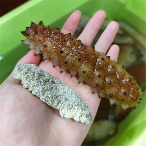 摩洛哥参爆款白刺深海淡干刺秃参西非刺参500g包邮干货海参非即食