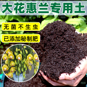 大花惠兰专用土种花营养土家用盆栽兰花种植土养花通用有机花肥土