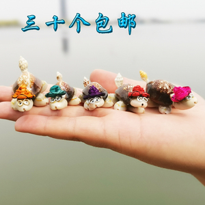 小海螺贝壳工艺品装饰制品贝壳小乌龟摆件挂件海螺玩具儿童沙滩