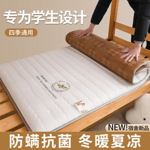 2024新款冰藤双面可用床垫学生垫出租房专用单人大豆纤维海绵垫子
