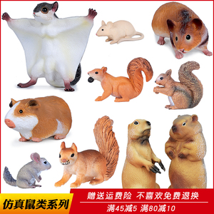 仿真野生动物模型老鼠玩具土拨鼠松鼠豚鼠鼯鼠儿童科教认知礼物