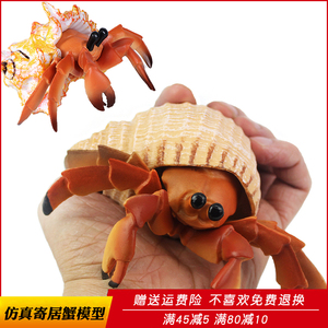 仿真寄居蟹玩具海洋生物模型动物海底塑料螃蟹男女孩认知儿童礼物