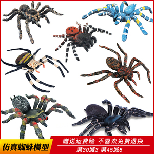 环保仿真昆虫蜘蛛玩具动物模型大号黑蜘蛛套装儿童科教认知礼物