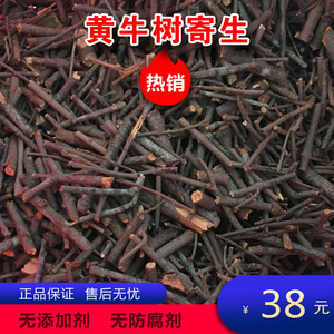 野生黄牛茶寄生雀笼木寄生黄芽树寄生黄牛木寄生桑寄生茶干品500g