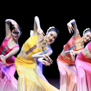 傣族舞蹈服装女表演服装舞蹈裙鱼尾裙练习裙成人儿童艺考服演出服