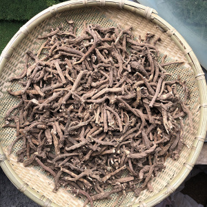 杏叶防风云南特有散装臭防风农家野外采收生晒无硫新货药材